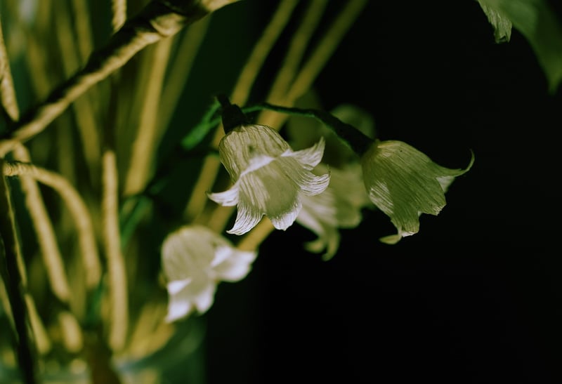 Handmade crafts image